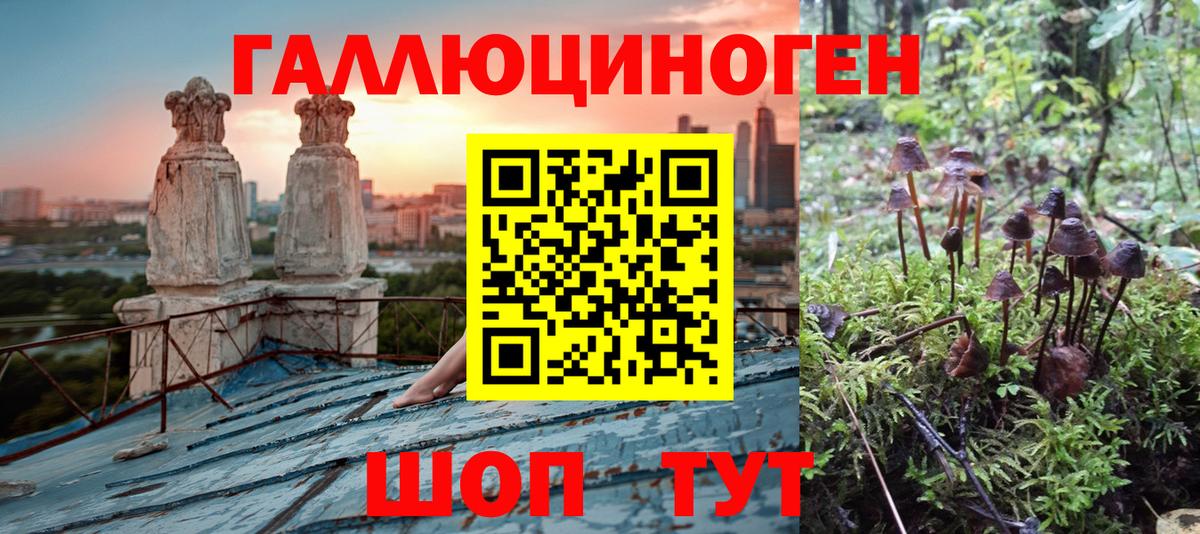 Солнечногорск  Псилоцибиновые грибы GOLDEN TEACHER  Галлюциногенные грибы Cubensis  Вход с VPN 