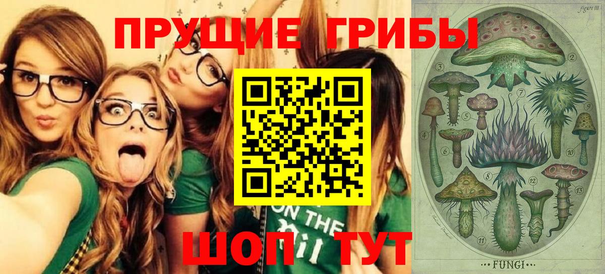 Codein Солнечногорск