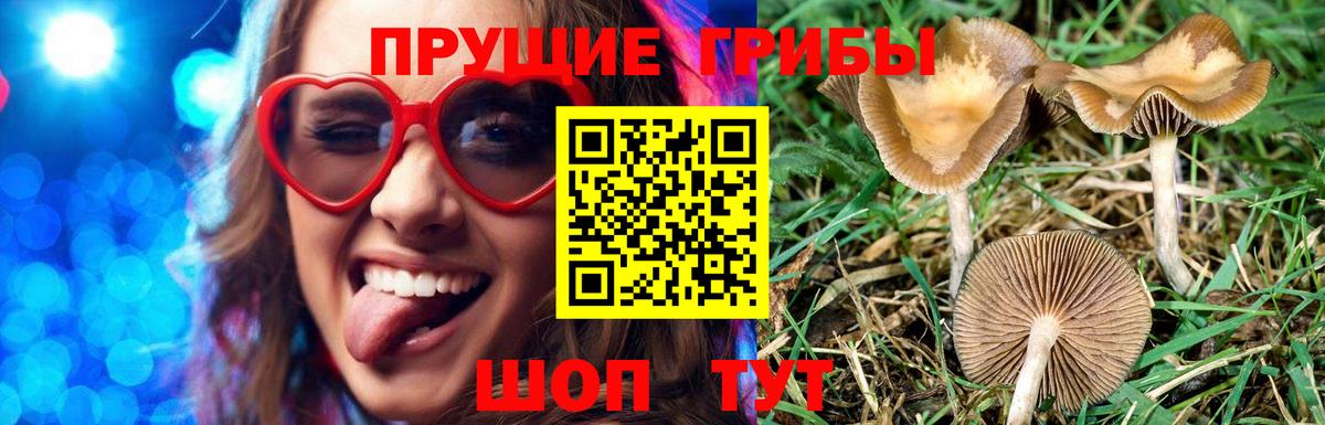 Солнечногорск  Мефедрон   Вход с VPN  A-PVP СОЛЬ   ЭКСТАЗИ  Канабис  Магазины продажи наркотиков  ГАШ  Каннабис 